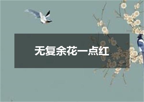 无复余花一点红