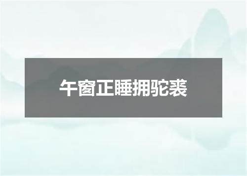 午窗正睡拥驼裘