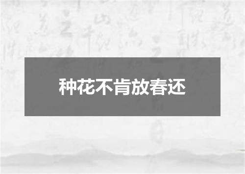 种花不肯放春还