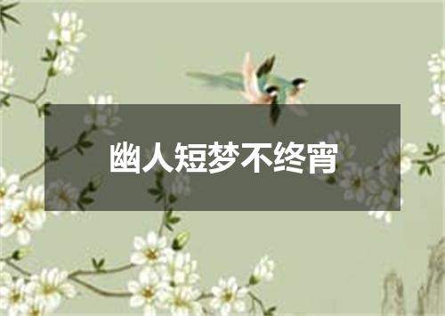 幽人短梦不终宵