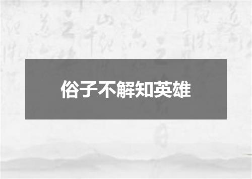 俗子不解知英雄
