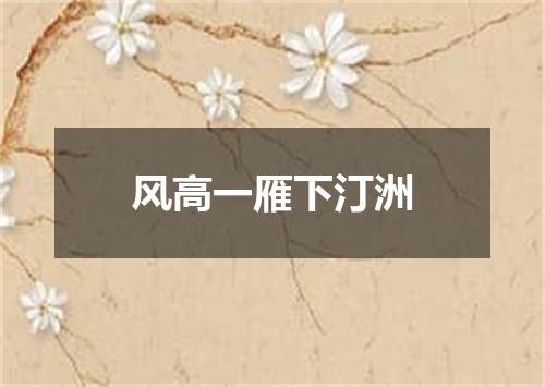 风高一雁下汀洲