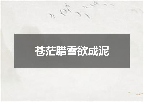 苍茫腊雪欲成泥