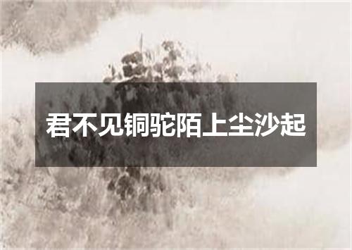君不见铜驼陌上尘沙起
