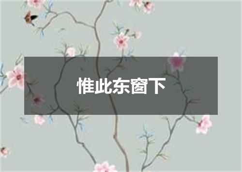 惟此东窗下