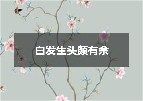 白发生头颇有余