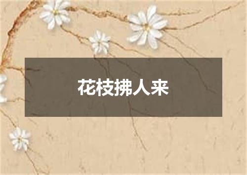 花枝拂人来