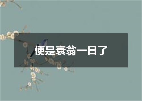 便是衰翁一日了