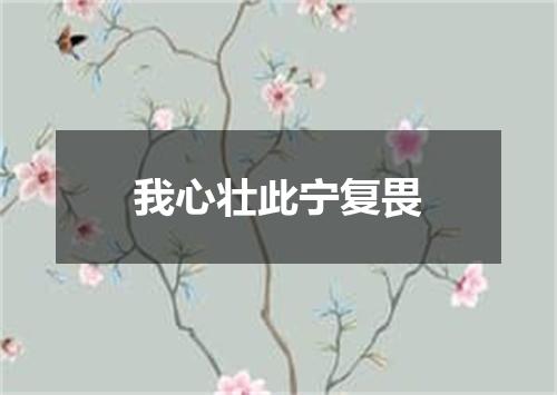 我心壮此宁复畏
