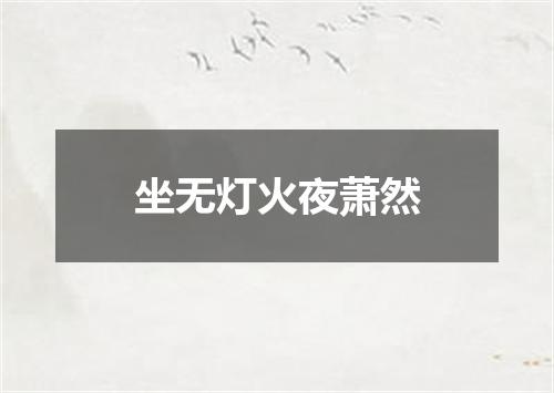 坐无灯火夜萧然