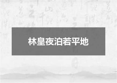 林皇夜泊若平地