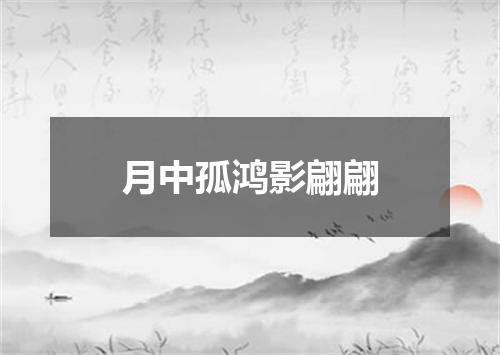 月中孤鸿影翩翩