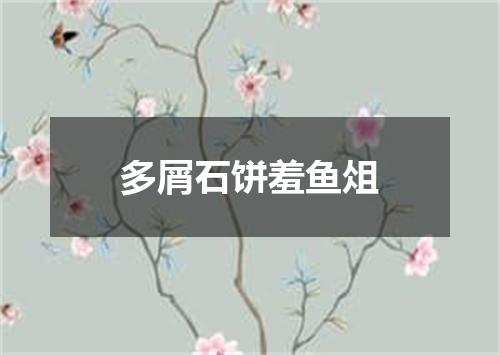 多屑石饼羞鱼俎