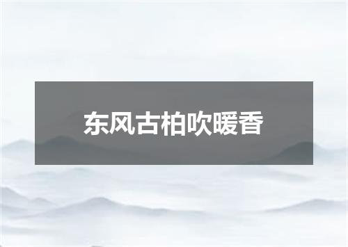 东风古柏吹暖香