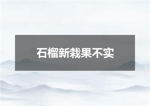 石榴新栽果不实