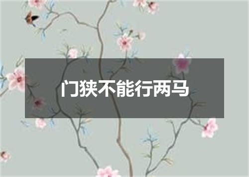 门狭不能行两马