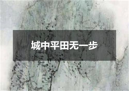 城中平田无一步