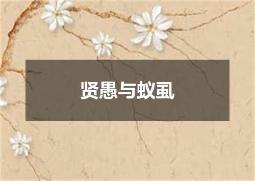 贤愚与蚁虱