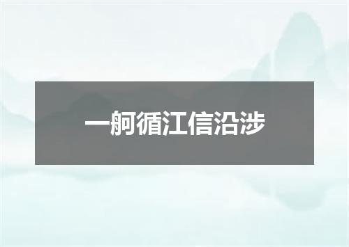 一舸循江信沿涉