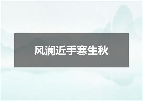 风澜近手寒生秋