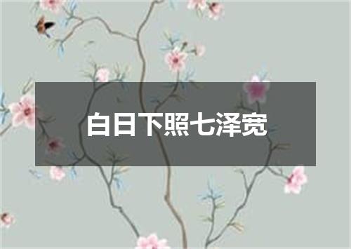 白日下照七泽宽