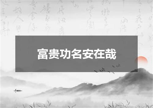 富贵功名安在哉