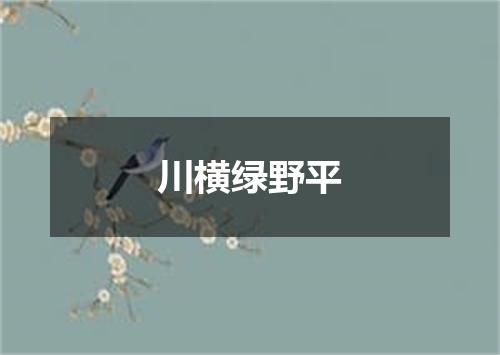 川横绿野平