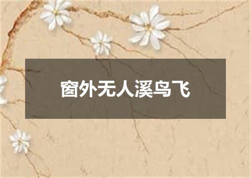窗外无人溪鸟飞
