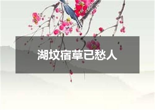 湖坟宿草已愁人