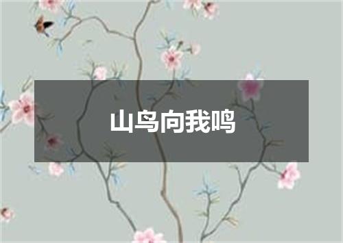 山鸟向我鸣