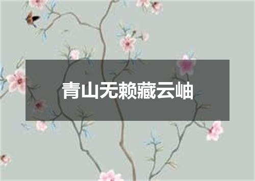 青山无赖藏云岫