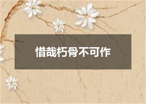 惜哉朽骨不可作