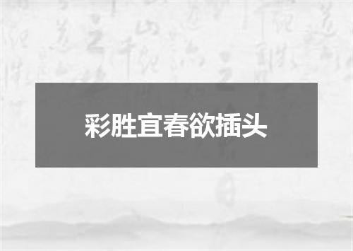 彩胜宜春欲插头