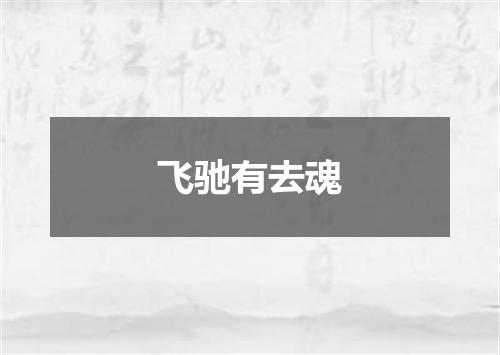 飞驰有去魂