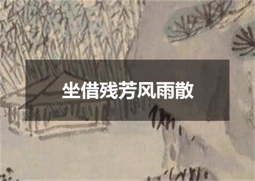 坐借残芳风雨散