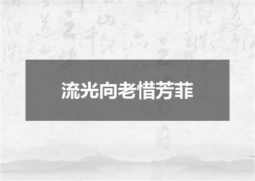 流光向老惜芳菲