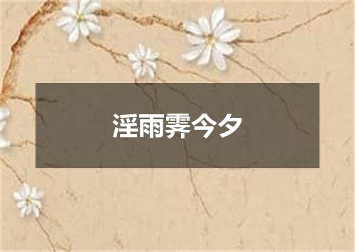 淫雨霁今夕