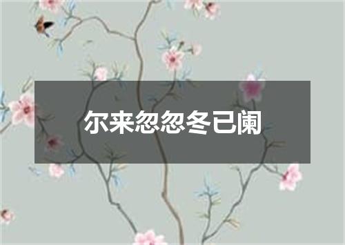 尔来忽忽冬已阑