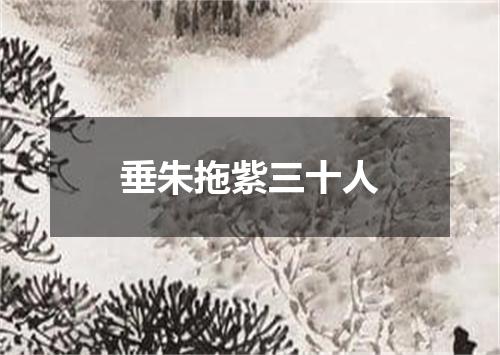 垂朱拖紫三十人