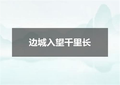 边城入望千里长