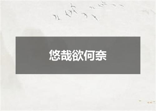 悠哉欲何奈