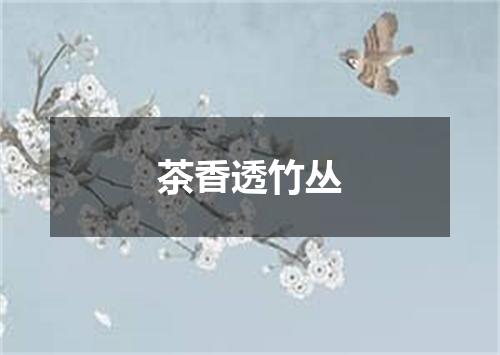 茶香透竹丛