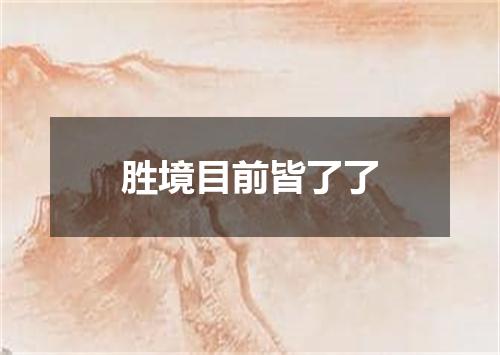 胜境目前皆了了
