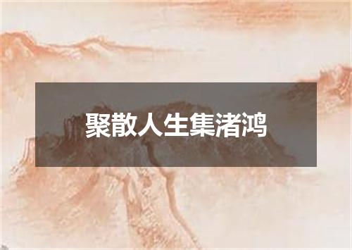 聚散人生集渚鸿
