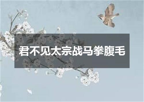 君不见太宗战马拳腹毛