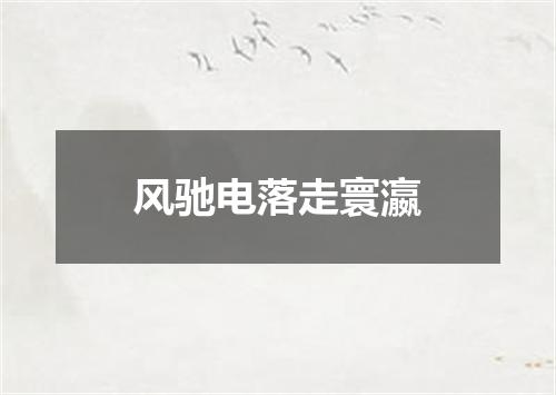 风驰电落走寰瀛