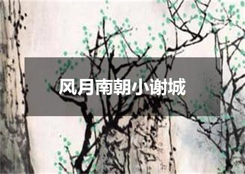 风月南朝小谢城