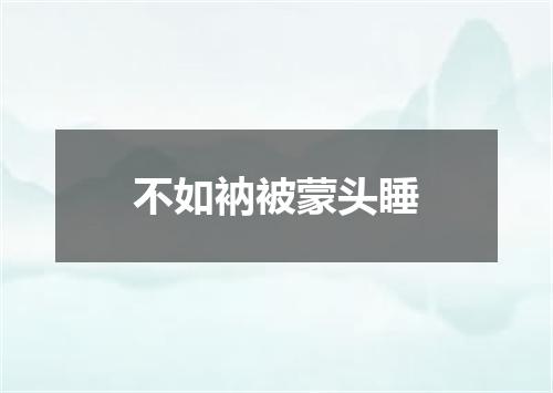不如衲被蒙头睡