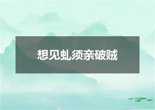 想见虬须亲破贼