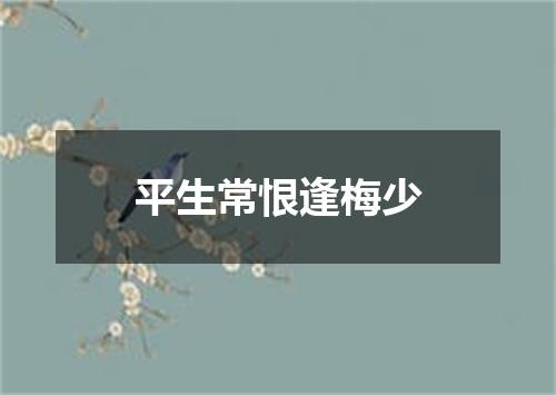 平生常恨逢梅少